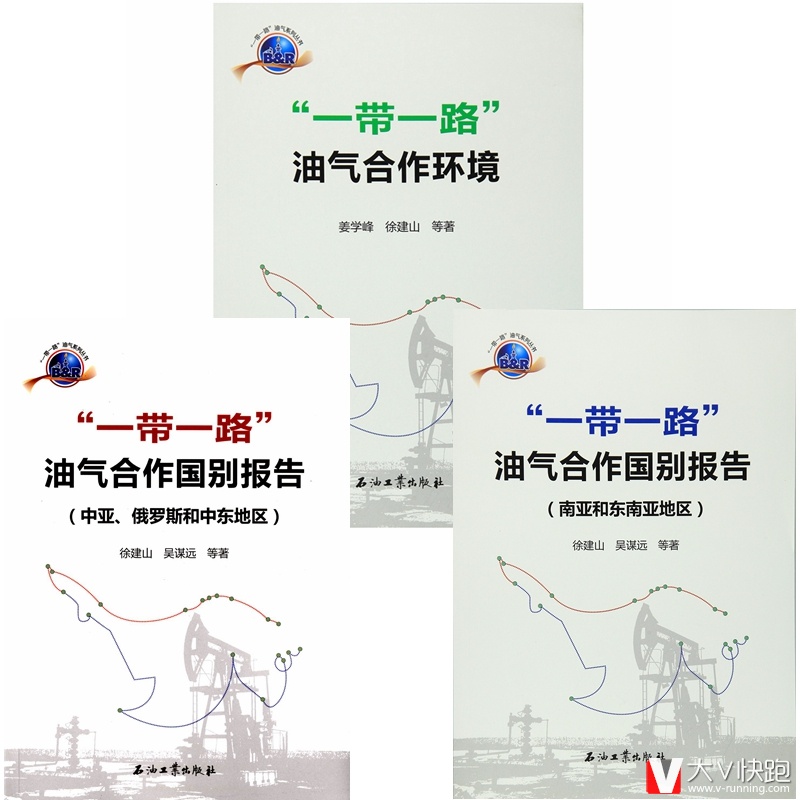 一带一路油气系列丛书全三册油气合作环境油气合作国别报告