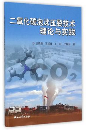 二氧化碳泡沫压裂技术理论与实践王晓泉,王振铎,王芳著