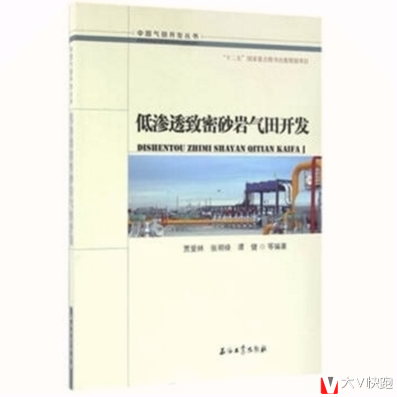 低渗透致密砂岩气田开发贾爱林中国气田开发丛书