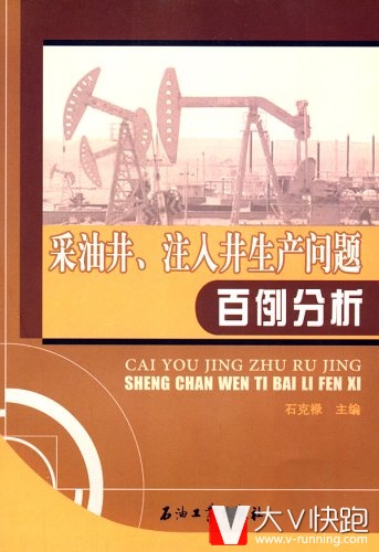 采油井、注入井生产问题百例分析石克禄(主编)石油工业出版社现货