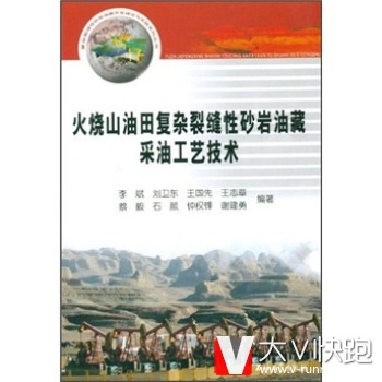 火烧山油田复杂裂缝性砂岩油藏采油工艺技术李斌石油工业出版社9787502170806