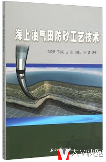 海上油气田防砂工艺技术刘良跃,于小龙,左凯,陈胜宏,杨进著