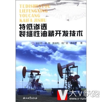 特低渗透裂缝性油藏开发技术孙庆和等现货石油工业出版社9787502174576