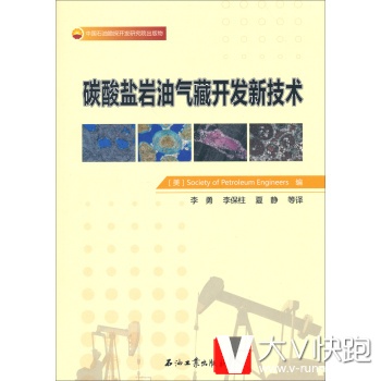 碳酸盐岩油气藏开发新技术SocietyofPetroleumEngineers；李勇,李保石油工业出版社9787502195748
