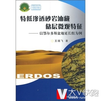 特低渗透砂岩油藏储层微观特征:以鄂尔多斯盆地延长组为例王瑞飞石油工业出版社9787502167493