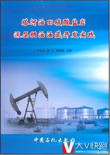 塔河油田碳酸盐岩深层稠油油藏开发实践王世洁、林江、梁尚斌(编者)