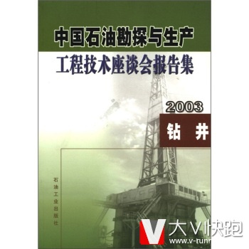 中国石油勘探与生产工程技术座谈会报告集(2003)：钻井中国石油天然气集团公司,中国石油天然气股份有限公司