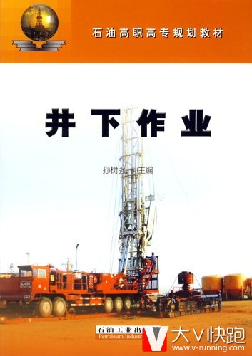 井下作业孙树强(作者)石油高职高专规划教材石油工业出版社9787502157241