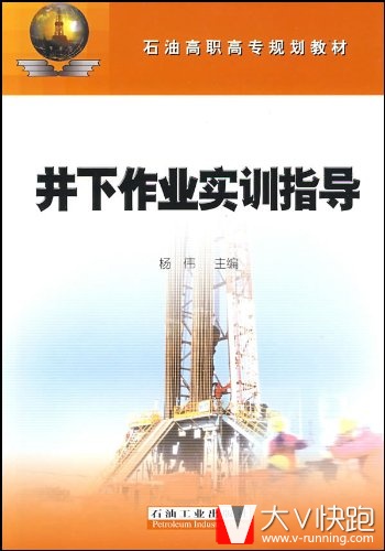 井下作业实训指导杨伟石油工业出版社9787502159511