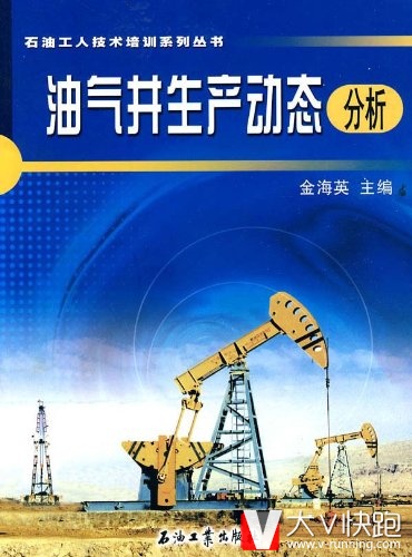 油气井生产动态分析石油工人技术培训系列丛书