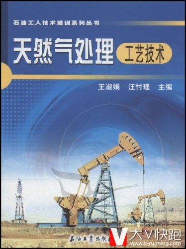 天然气处理工艺技术王淑娟、汪忖理(作者)石油工人技术培训系列丛书石油工业出版社