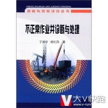 技能专家教诀窍丛书：不正常作业井诊断与处理于淑华,杨化凤石油工业出版社9787502187125