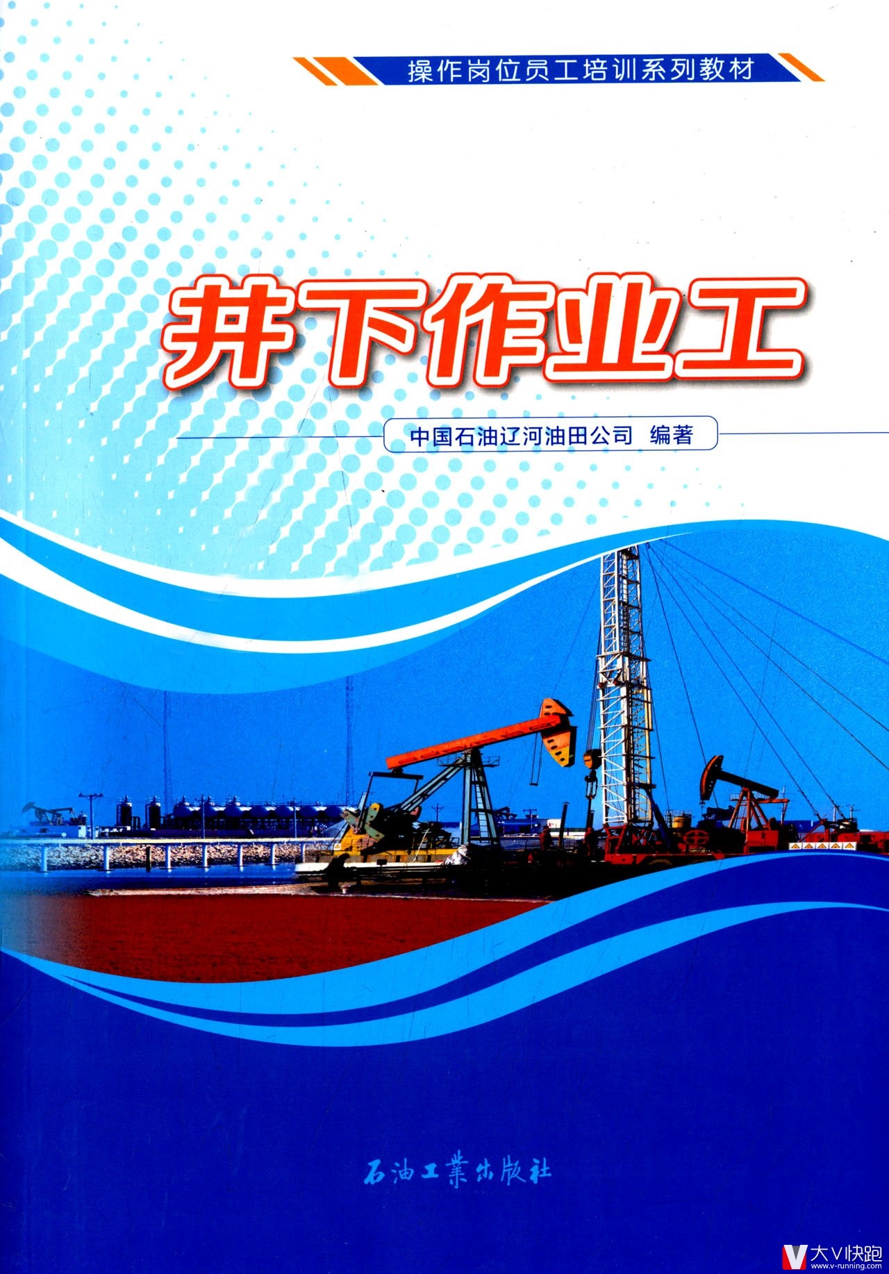 井下作业工中国石油辽河油田公司(作者)现货操作岗位员工培训系列教材9787518305650