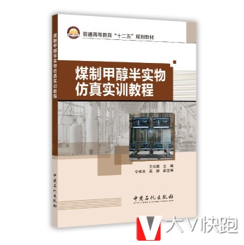 煤制甲醇半实物仿真实训教程王训遒,宁卓远,高健中国石化出版社