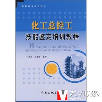 高职高专系列教材:化工总控工技能鉴定培训教程冯文成,程志刚