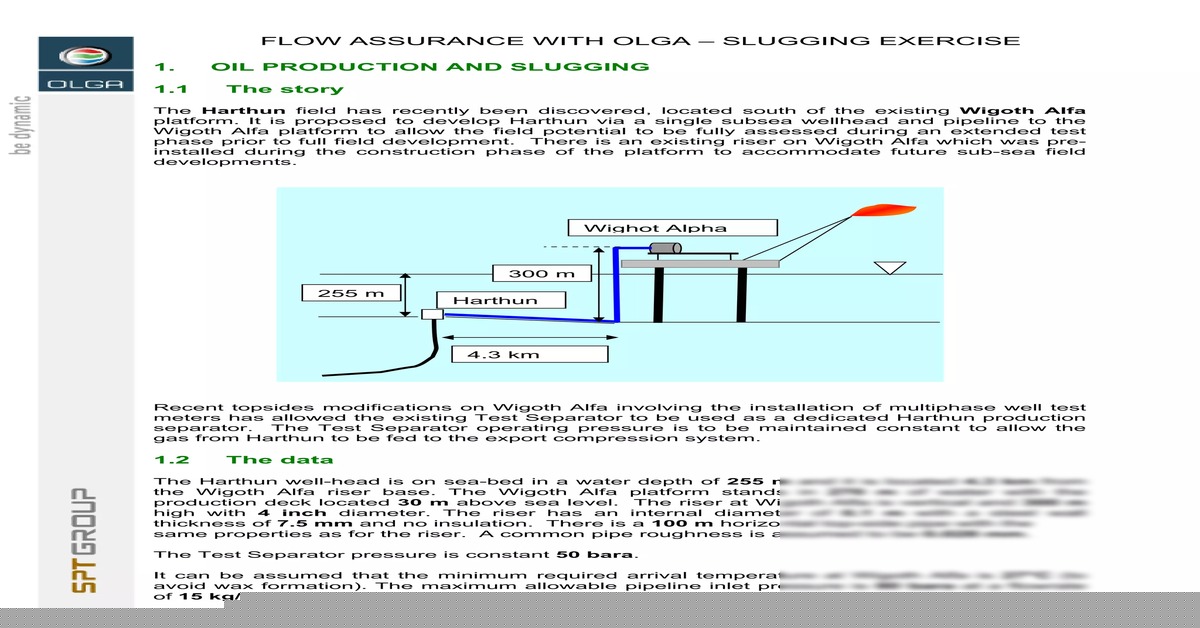立管严重段塞的 OLGA 模拟判断准则与抑制策略